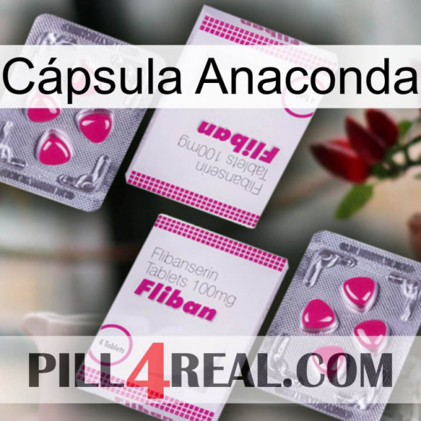 Cápsula Anaconda 33.jpg